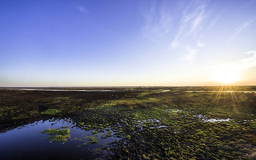 Gainesville, FL nature preserve